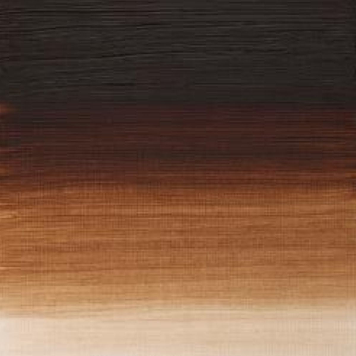 Artists' Oil Colour - Burnt Umber