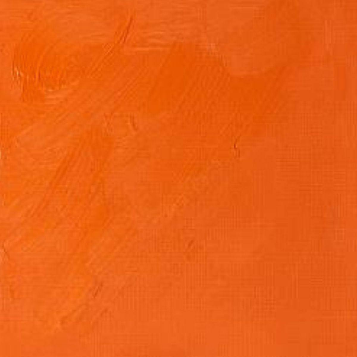 Artists' Oil Colour - Cadmium Orange