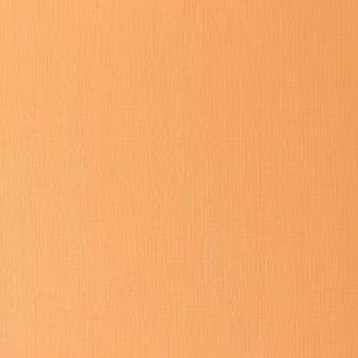 Artists' Oil Colour - Cadmium Orange